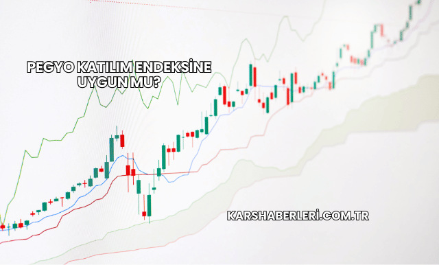 Pegyo Katılım Endeksine Uygun mu?