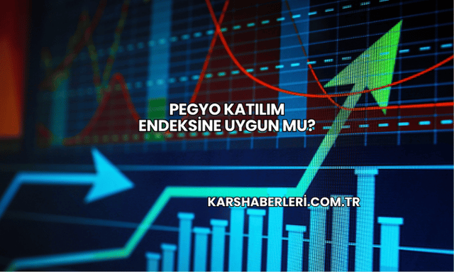Pegyo Katılım Endeksine Uygun mu?