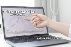 Petkim Katılım Endeksine Uygun mu?