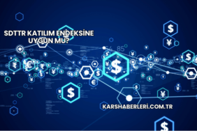 SDTTR Katılım Endeksine Uygun mu?