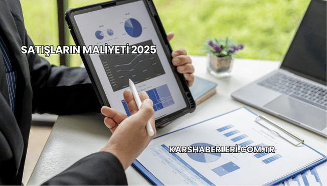Satışların Maliyeti 2025