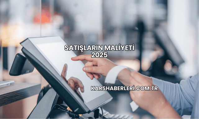 Satışların Maliyeti 2025