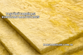 Taşyünü Fabrikası Kurulumu Maliyeti 2025