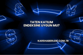Taten Katılım Endeksine Uygun mu?