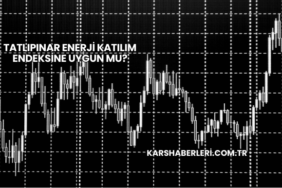 Tatlıpınar Enerji Katılım Endeksine Uygun mu?