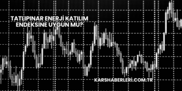 Tatlıpınar Enerji Katılım Endeksine Uygun mu?