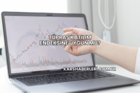 Tüpraş Katılım Endeksine Uygun mu?