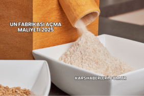Un Fabrikası Açma Maliyeti 2025