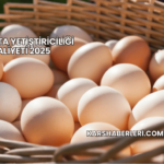 Yumurta Yetiştiriciliği Maliyeti 2025