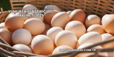 Yumurta Yetiştiriciliği Maliyeti 2025