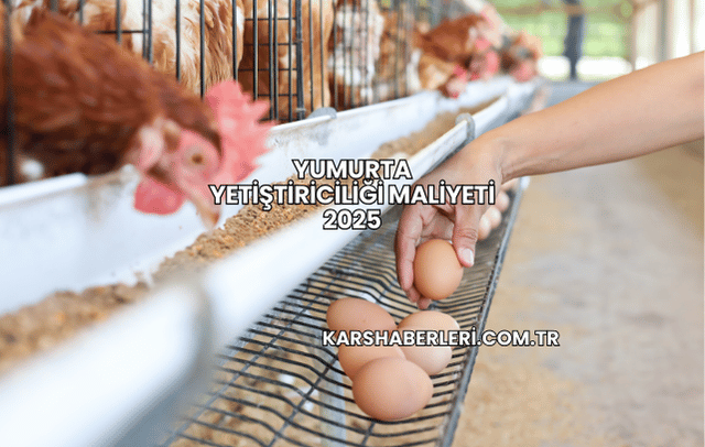 Yumurta Yetiştiriciliği Maliyeti 2025