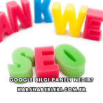 Google Bilgi Paneli Nedir?