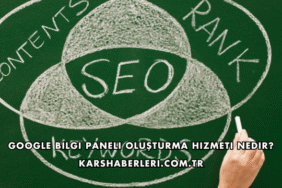 Google Bilgi Paneli Oluşturma Hizmeti Nedir?