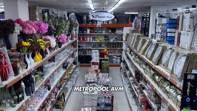 Metropool AVM Kimdir?